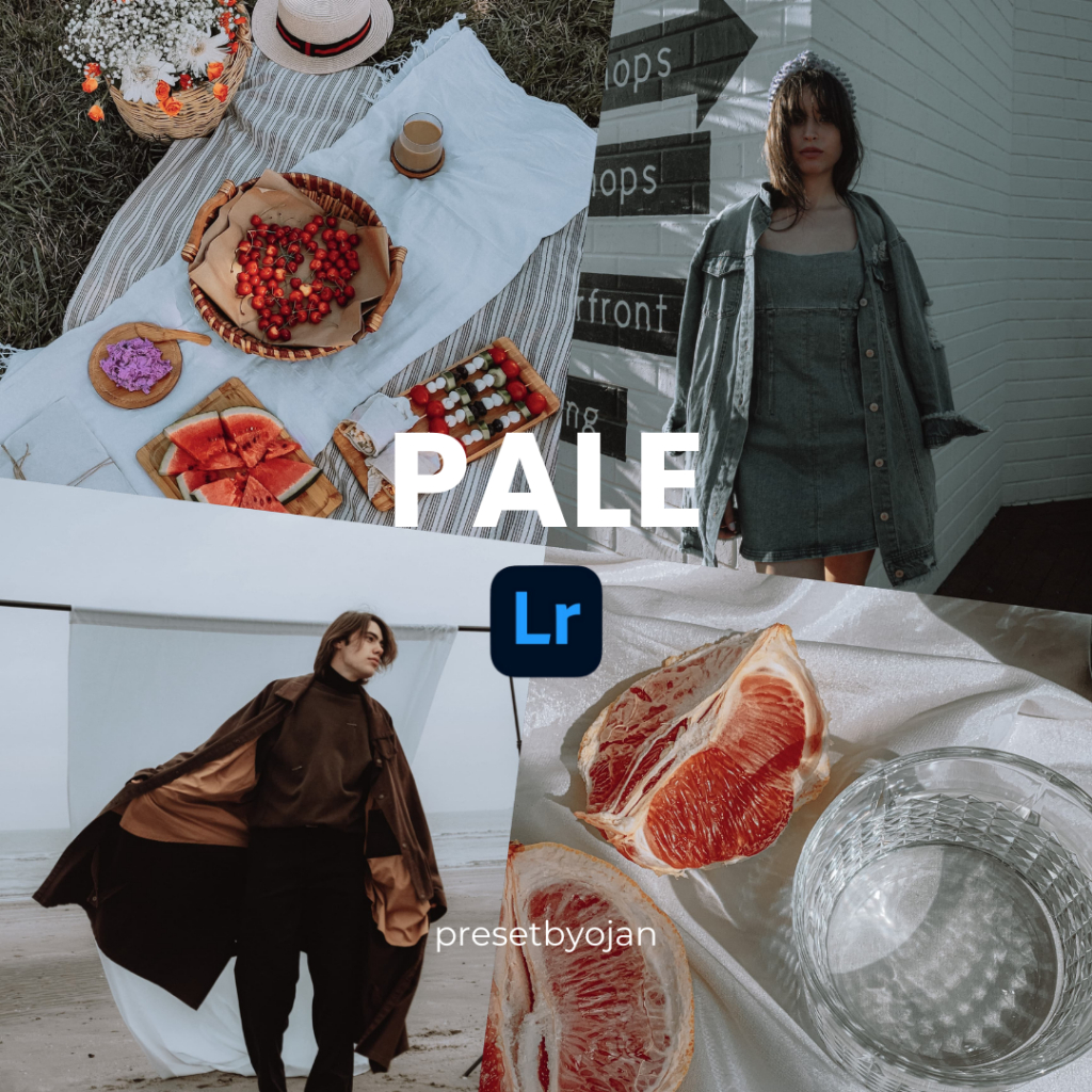 Pale Lightroom Preset Preset Aesthetic