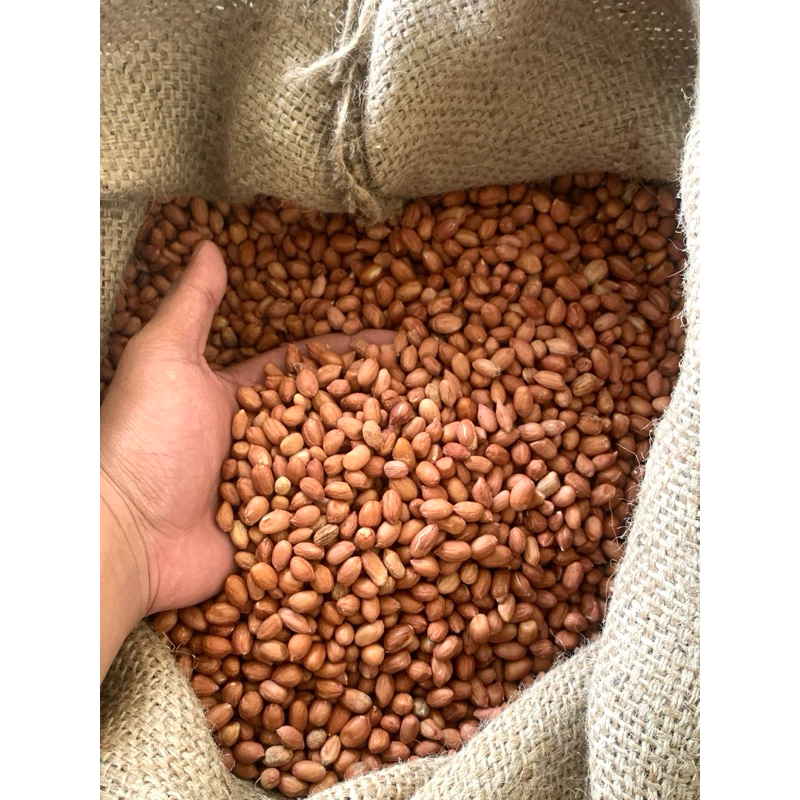 

kacang tanah super ready stok promo termurah, ecer, grosir‼️