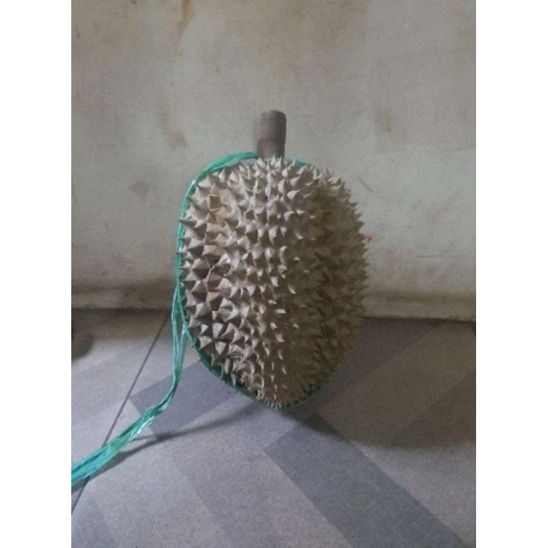 

DURIAN MONTONG BERKUALITAS