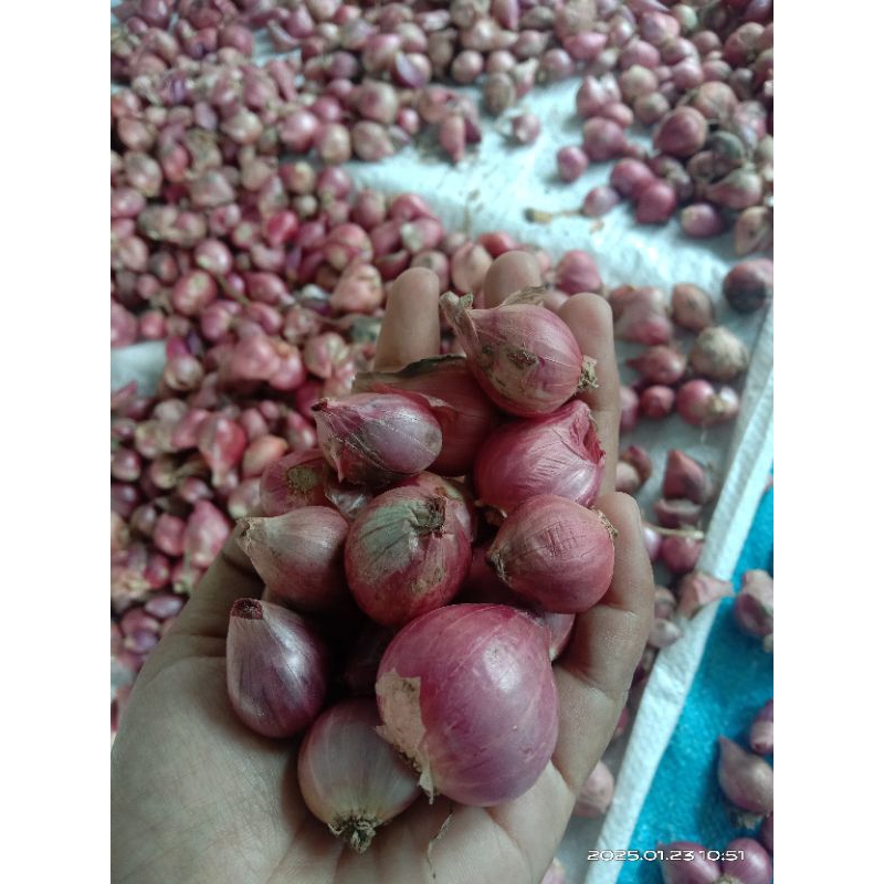 

susu nutrilon