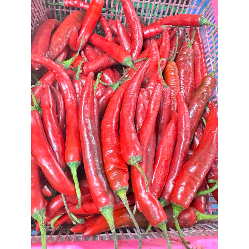 

Cabe Merah Besar 500gr