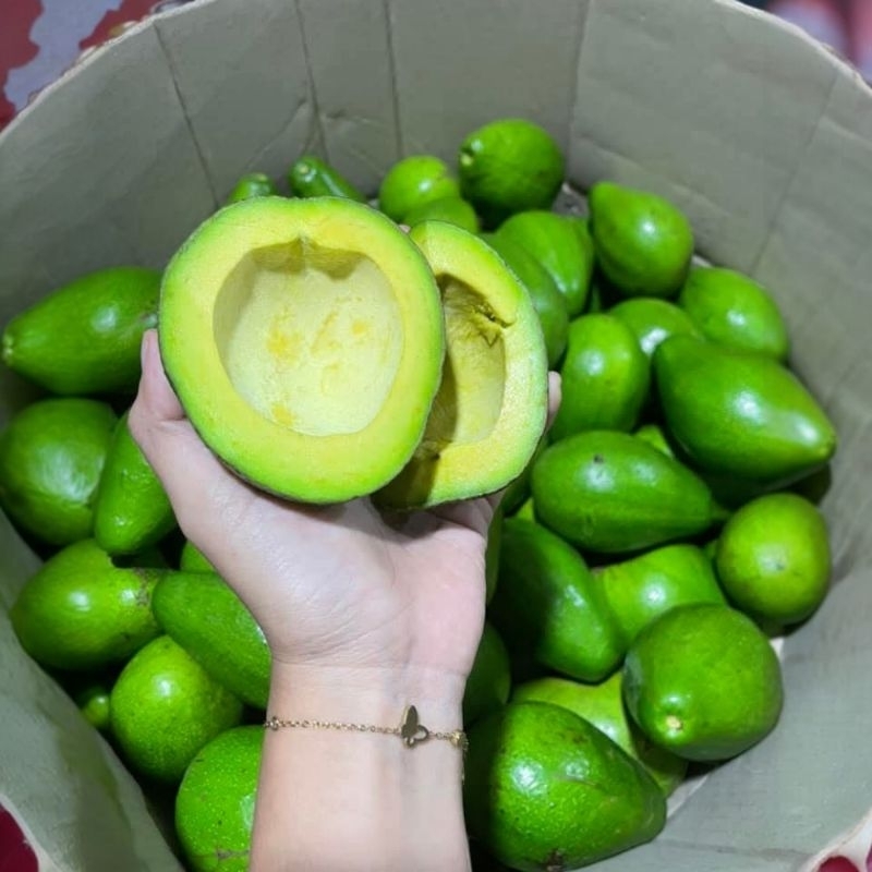 

ALPUKAT MENTEGA BOYOLALI MATENG 1kg