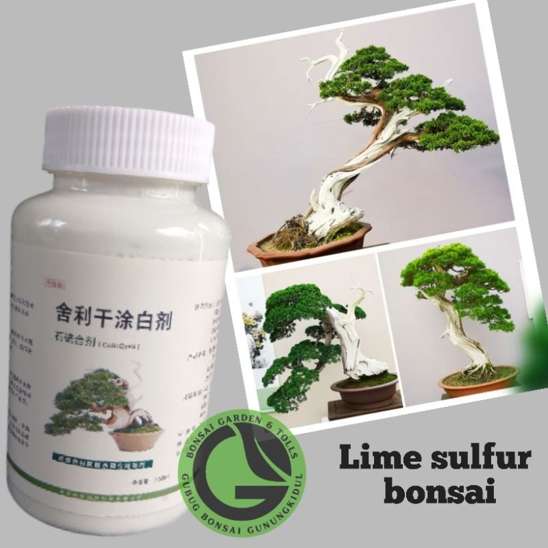 BONSAI LIME SULFUR FOR DRIED BRANCHES WHITENING lime sulfur bonsai japan quality