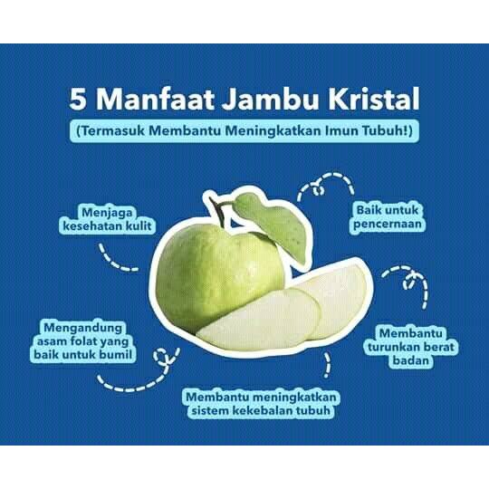 

Satu biji buah Jambu Kristal non biji Kebumen