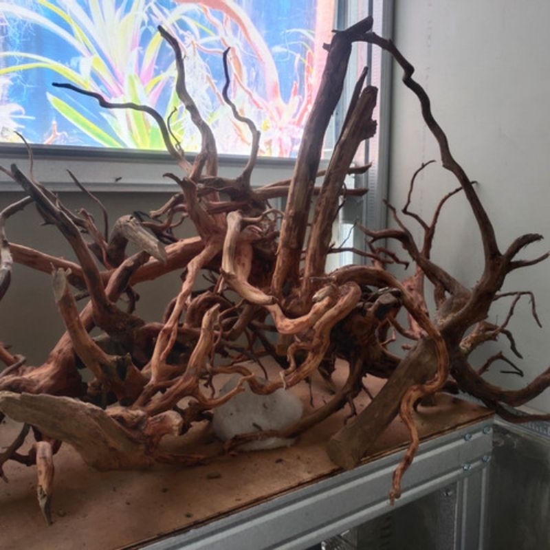 Akar Senggani Aquascape/Akar aquarium Aquascape untuk hiasan akuarium