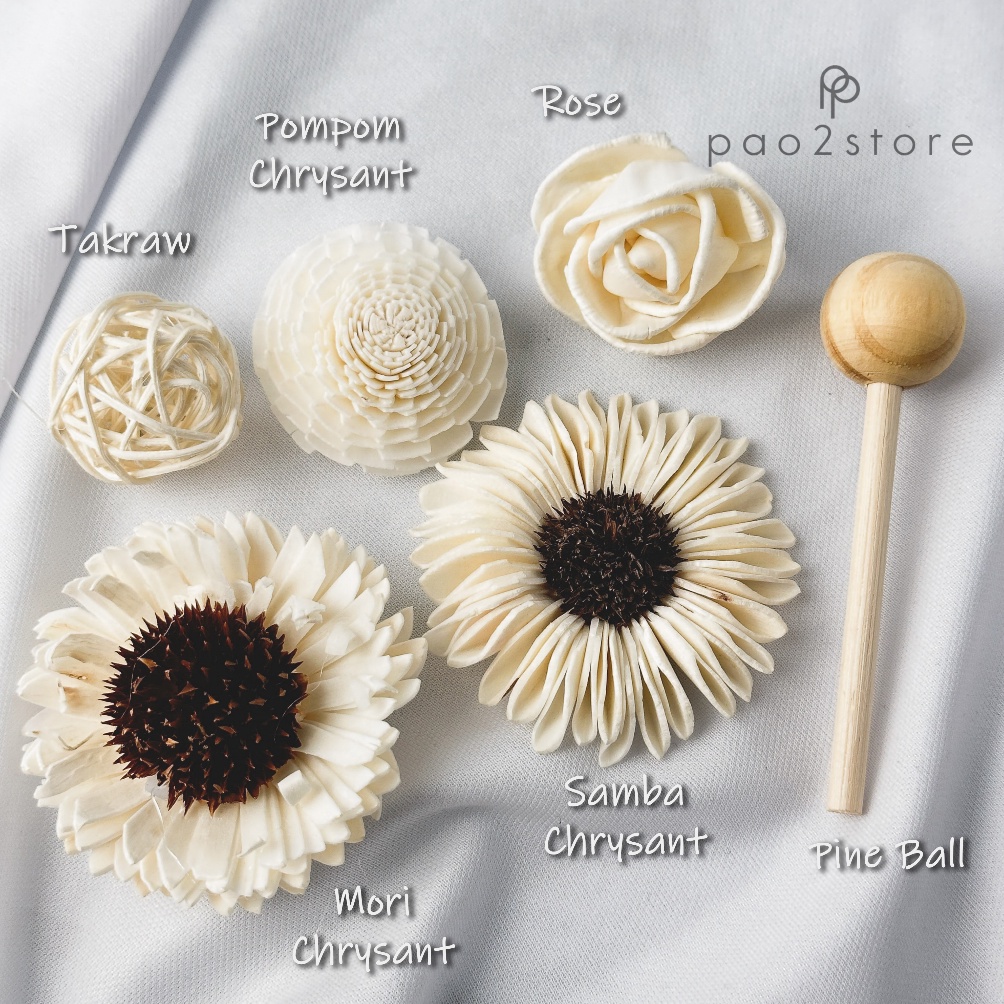 Design Bunga Reed Diffuser  Sola Flower  Kering  Dried Klobot Wood  Ornamen  Hiasan  Aksesoris Pengh