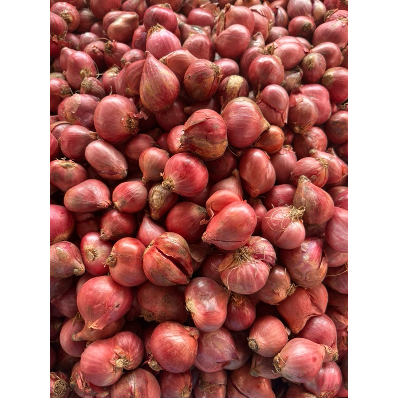 

bawang merah Jawa 1/4 kg