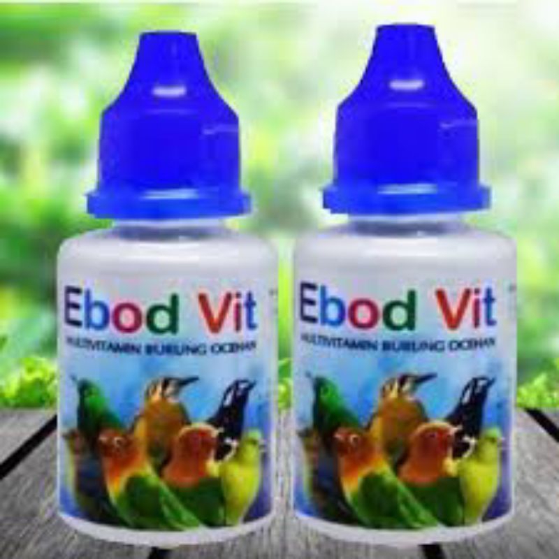 VITAMIN BURING EBOD VIT . ORIGINAL