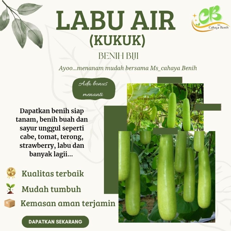 Benih Labu air isi (100 butir), Bibit labu air