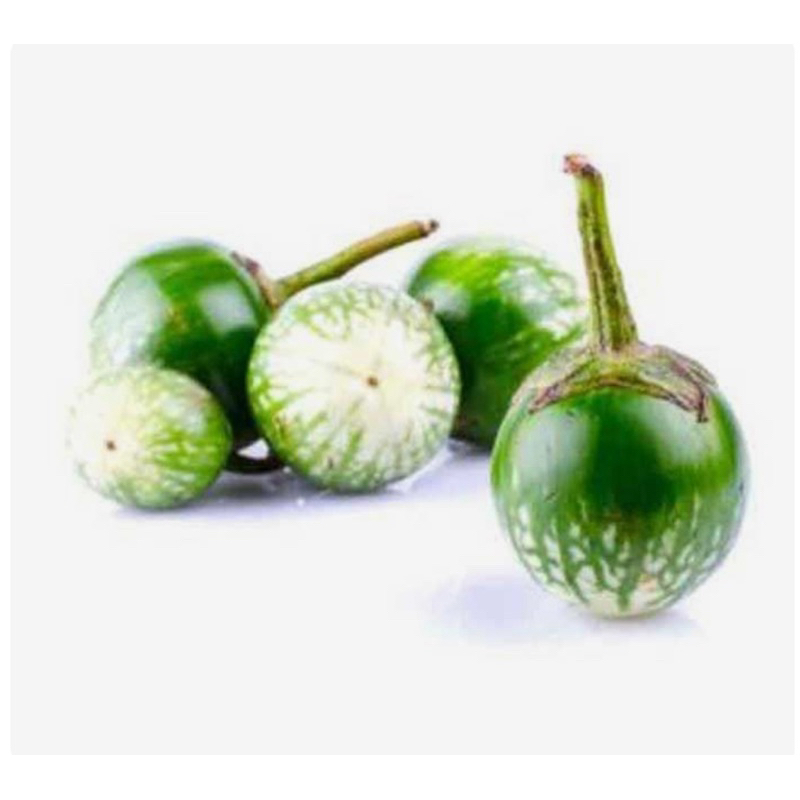 

TERONG Lalapan 250 gram