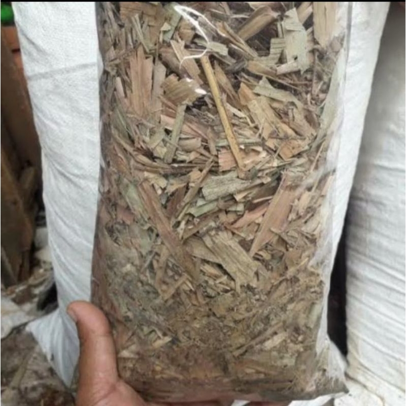 

Daun Bambu Kering 1kg