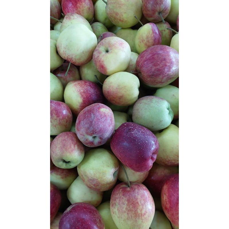 

Apel Anna 1kg Grade A