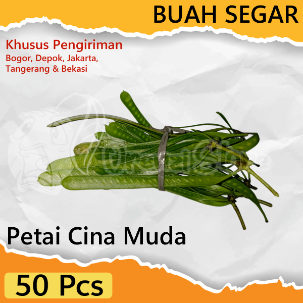 

Petai Cina Muda Lamtoro 50 Pcs