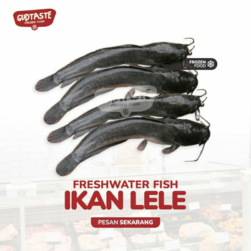 

Lele Bersih - Catfish 1000 Gram - Ikan Lele Bersih - Lele Fresh - Lele Segar - Jual Lele Surabaya