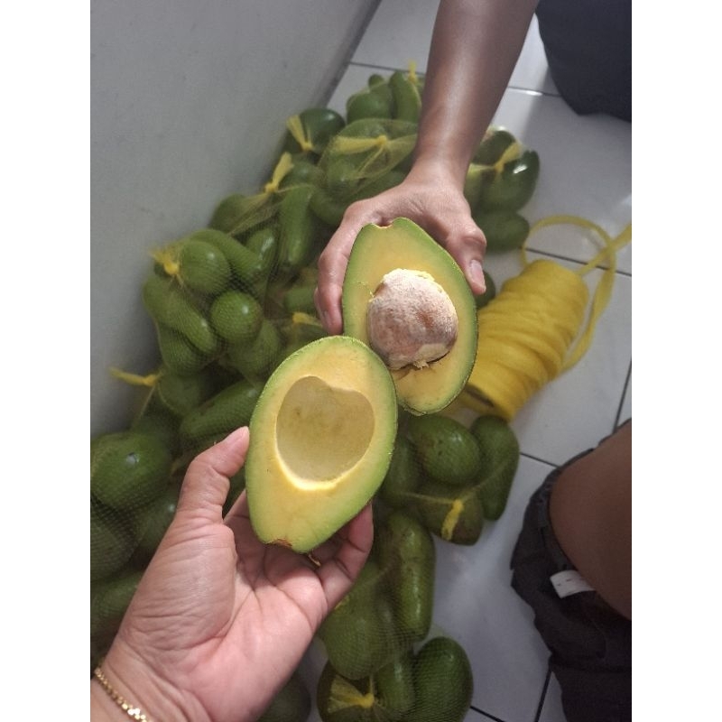 

buah alpukat mentega bergaransi, alpukat mentega legit, alpukat mentega kuning, alpukat mentega super