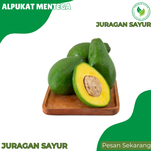 

Buah Alpukat Mentega - Alpukat Mentega Super - Alpukat Mentega Murah - Juragan Sayur