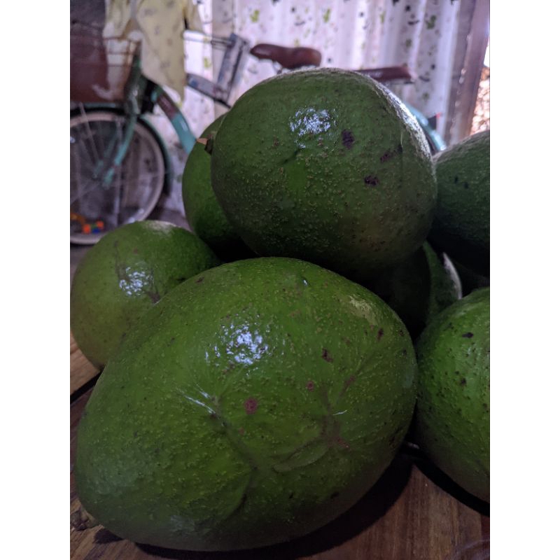 

alpukat mentega super 2kg