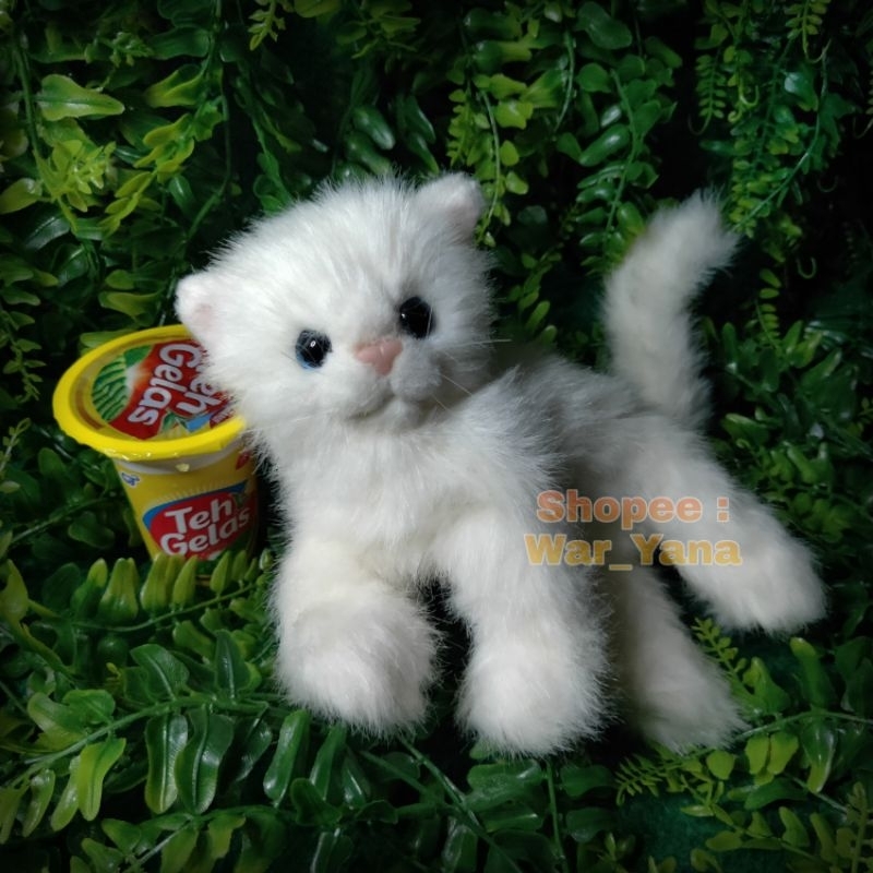 Boneka Anak Kucing Persia Import Inggris Original Pet Cat Kitten Kitty Mirip Asli Plush Stuffed Toys