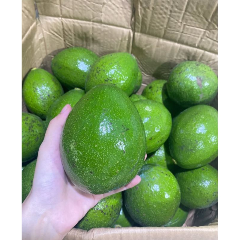 

BUAH ALPUKAT MENTEGA 1 KG