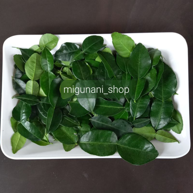 

daun jeruk bumbu masak 1 pack 25 gram segar fresh jeruk purut