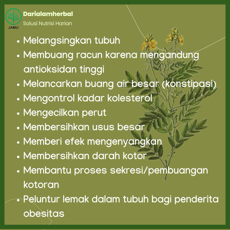 [Whispers] Kapsul Herbal JATI CINA isi 100 kapsul Kapsul Sejuta manfaat asli 100% Jati Cina Alami