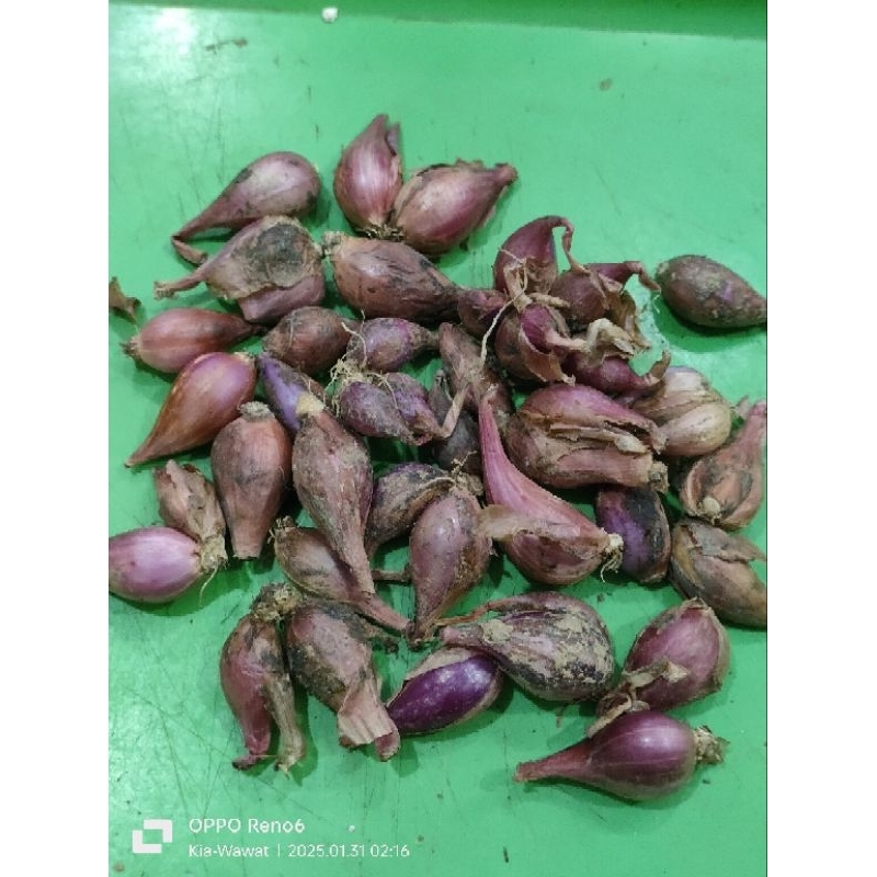 

COD Bawang Merah Kecil Murah 1 kg