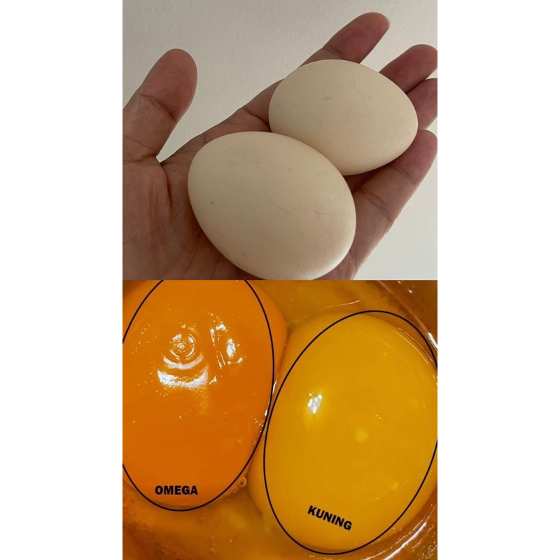 

Telur kampung omega premium isi 15