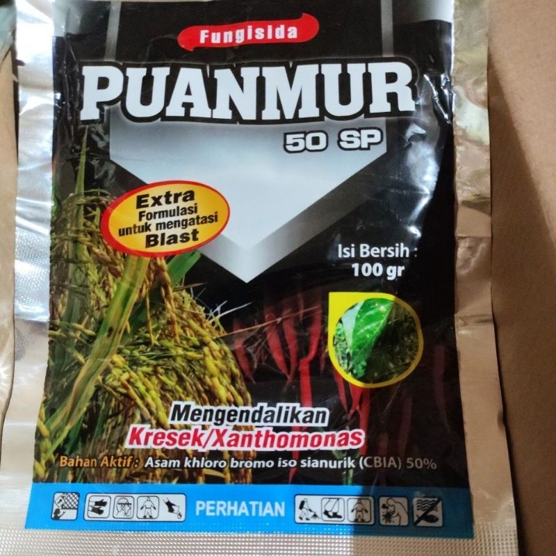 Puanmur 50SP 100gram fungisida bakterisida kresek dan potong leher