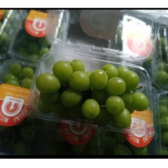 

Anggur Shine Muscat Pack Jual Per 1 Dus Karton