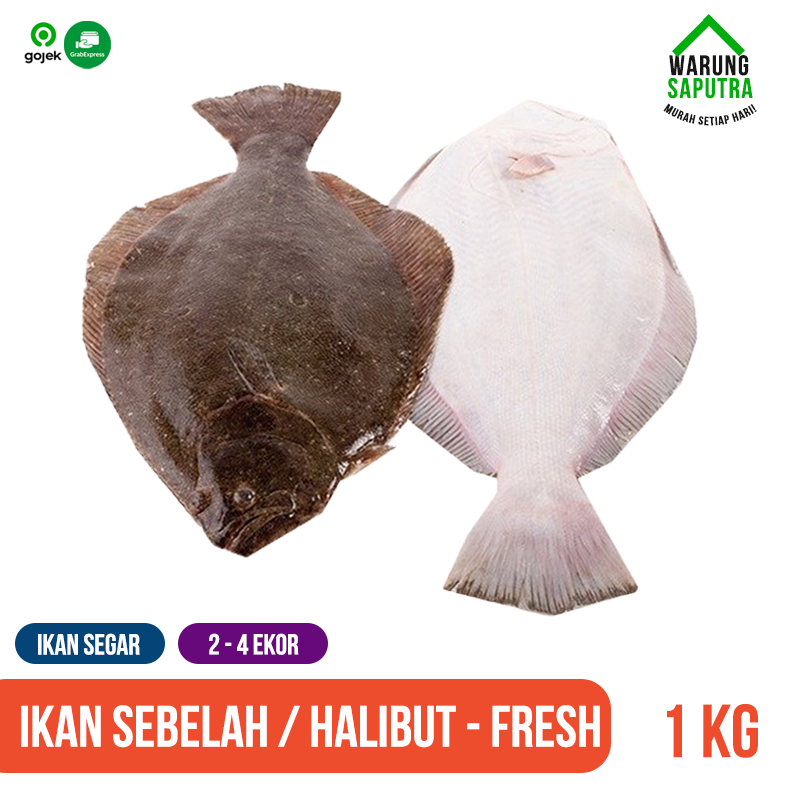 

Ikan Sebelah / Pihi / Sole / Lidah / Halibut Mati Segar Utuh 1 kg