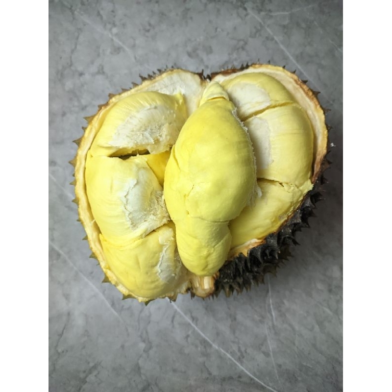 

Daging Durian Monthong Fresh 500 Gram & 1 Kg (Non Frozen)