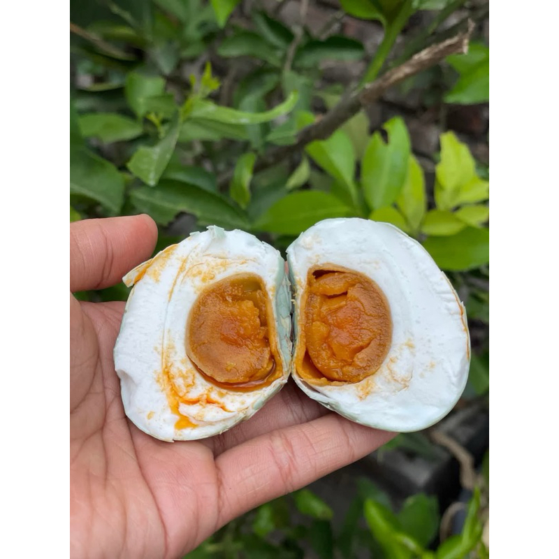 

Paket lauk telur asin asap original organik masir gurih enak isi 10 butir