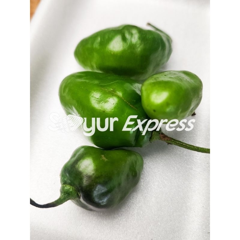 

KIRIM INSTAN Cabe Gendot 50gr