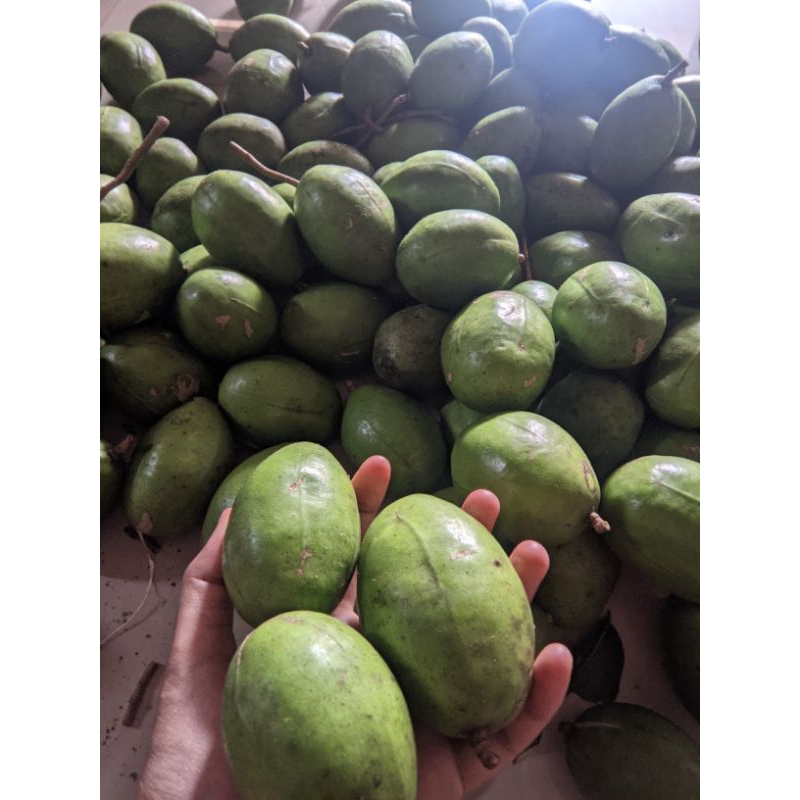 

Buah gedondong