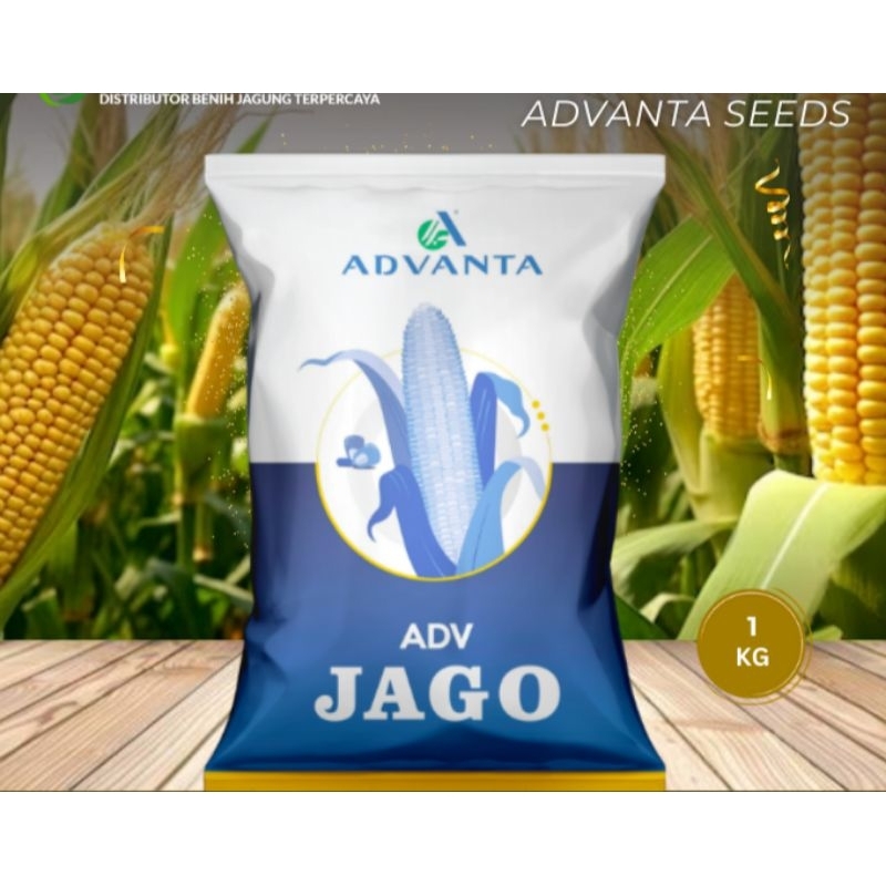 Benih Jagung Jago