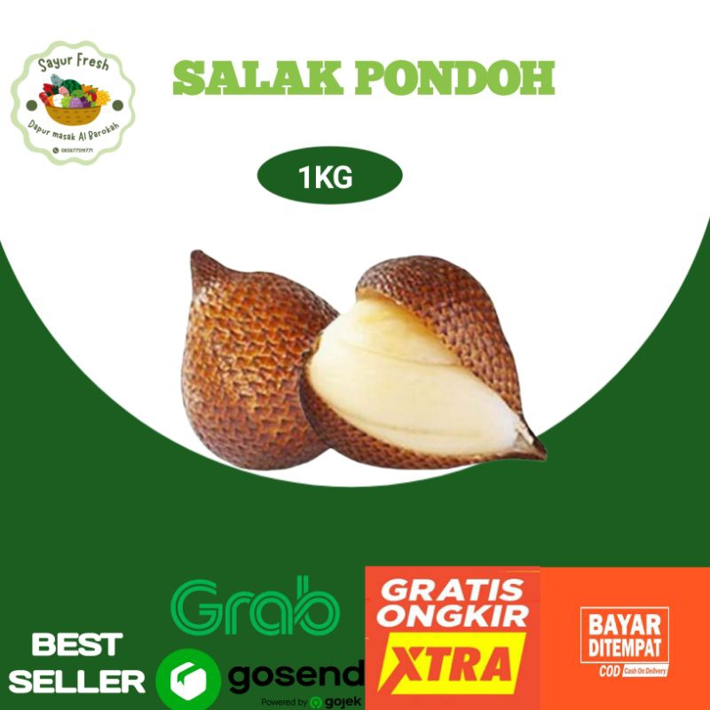 

SALAK PONDOH
