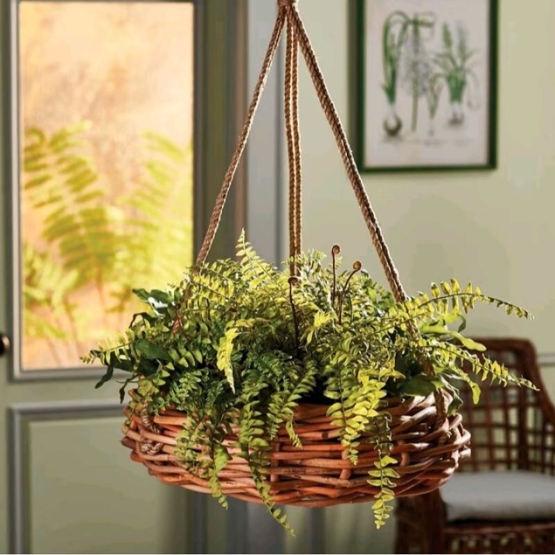 Pot gantung anyaman rotan alami