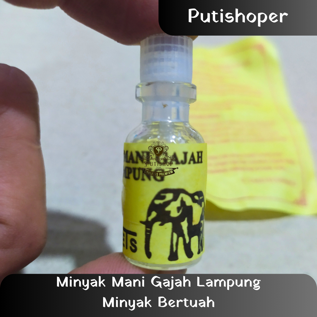 Minyak Mani Gajah Lampung Minyak Bertuah