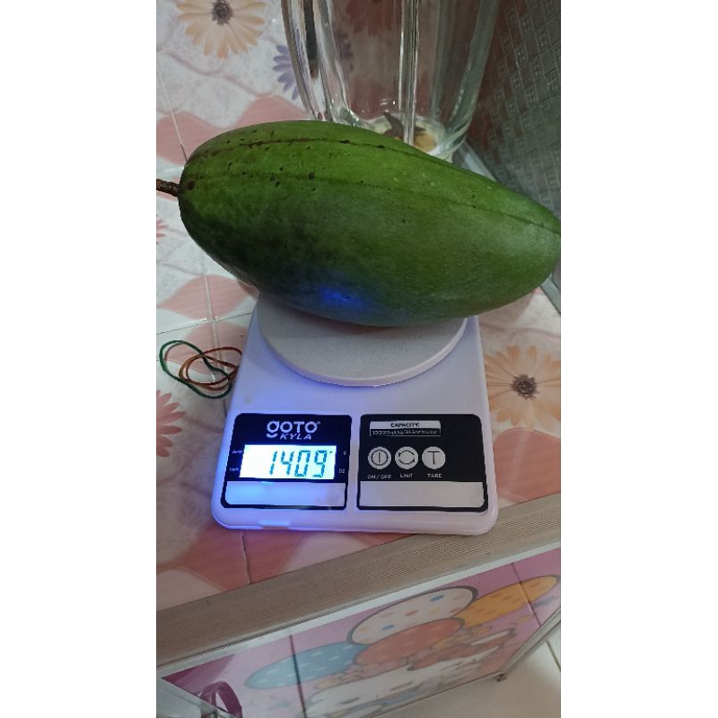 

Buah Mangga Kiojai