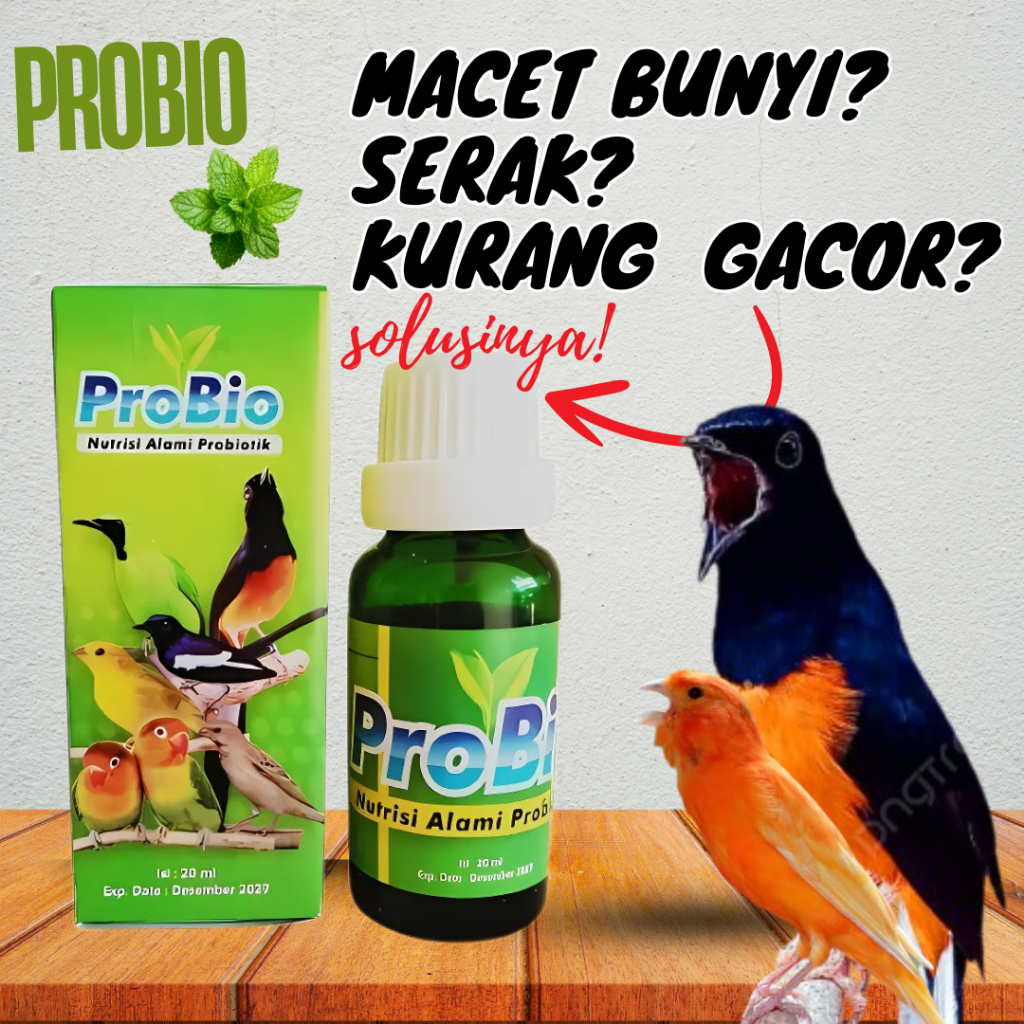 ProBio Obat Vitamin Herbal Anti Serak Burung Murai Batu Kenari Kacer Penggacor Burung