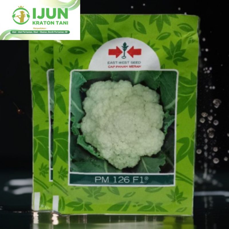 BENIH BUNGA KOL PM 126 F1 MURAH