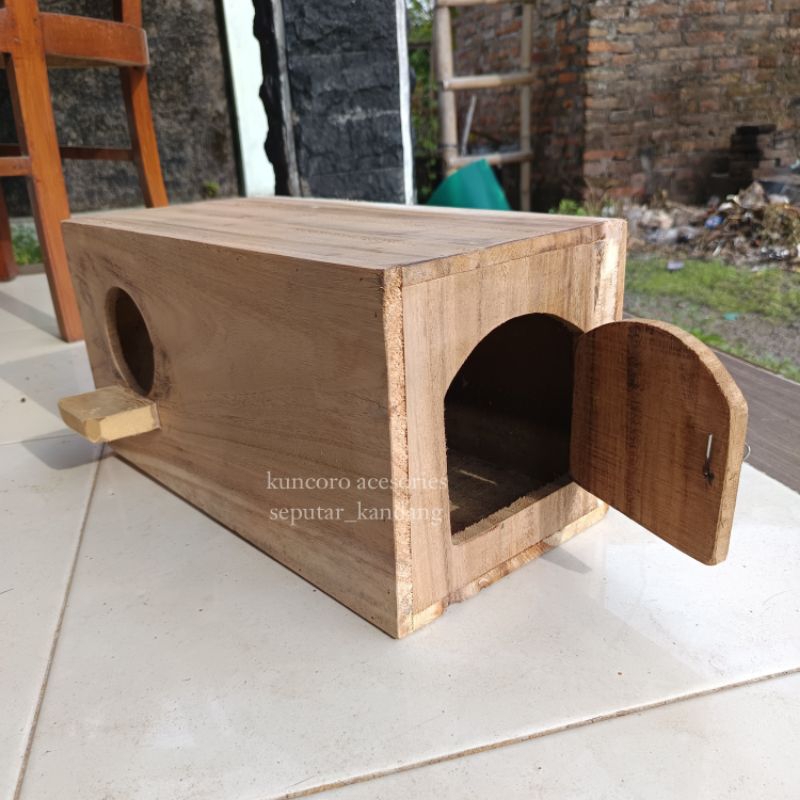 Glodok burung Falk, Parkit Australia, Sunconure, atau Nuri Pintu Samping