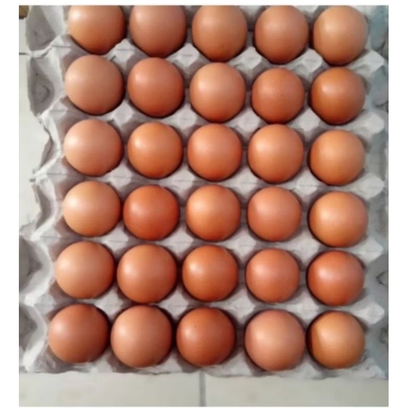

Telur Ayam 1 Rak isi 30 biji