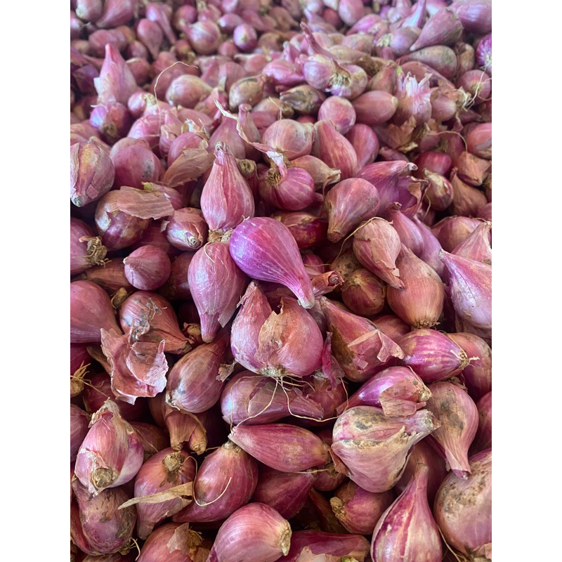 

Bawang merah ukuran kecil 1kg