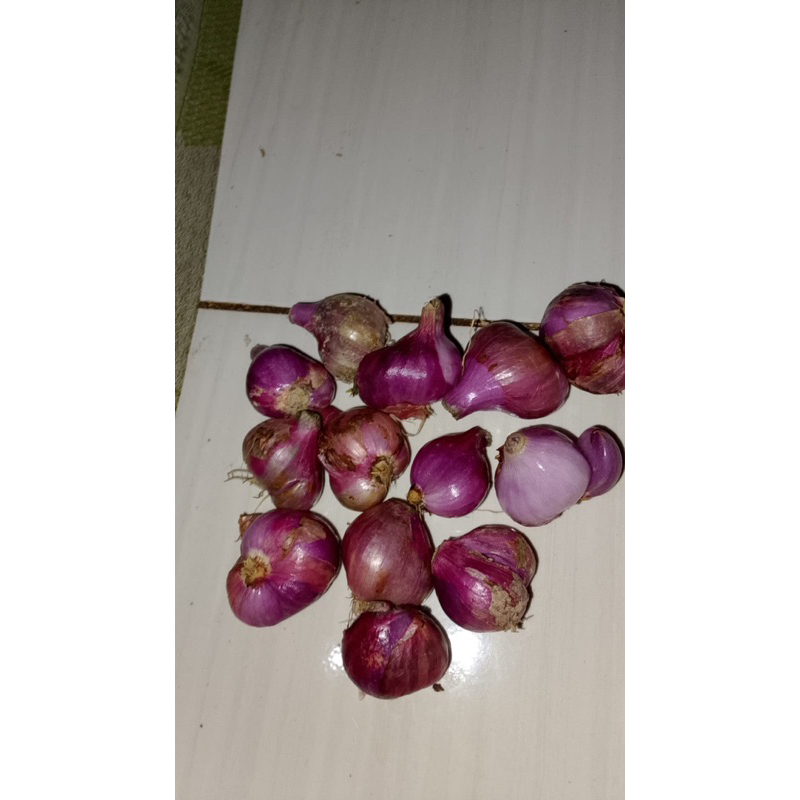 

bawang merah super 1kg
