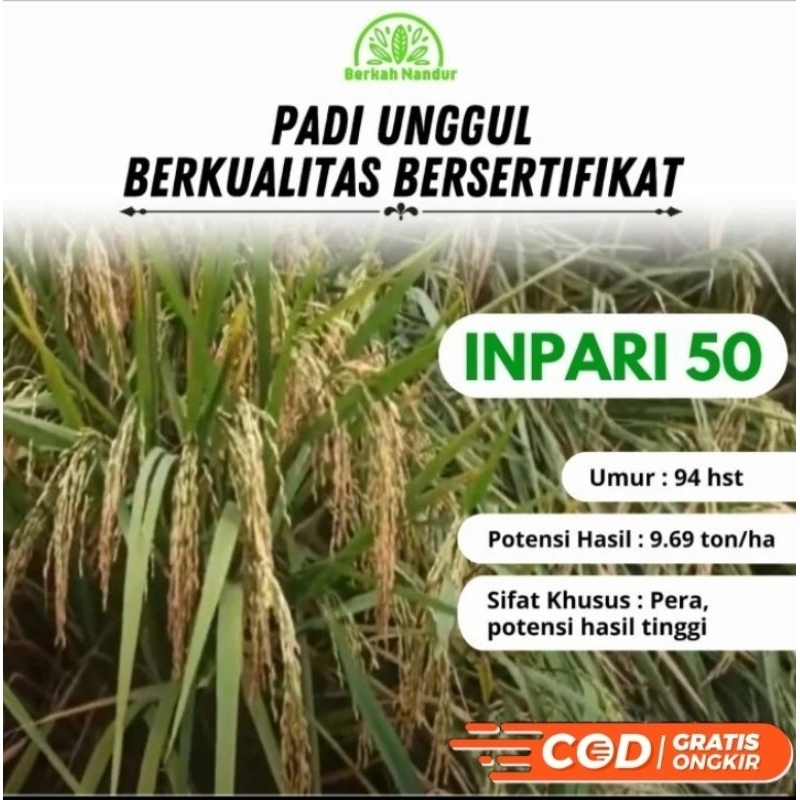 Benih padi INPARI 50 BERKUALITAS KEMASAN 1KG