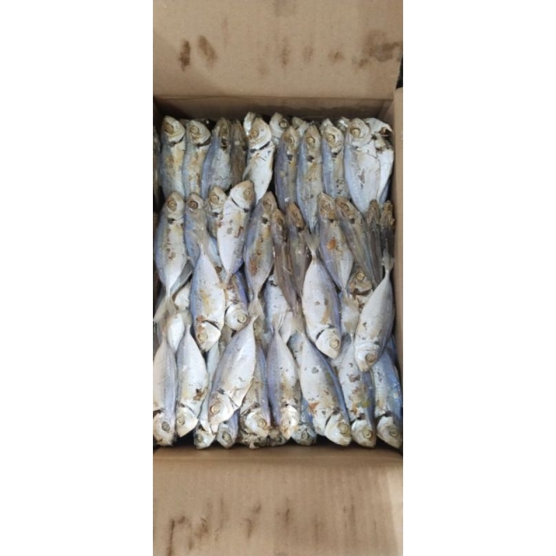 

Selar gontor susun rebus 45 perkilo (1000 gram)