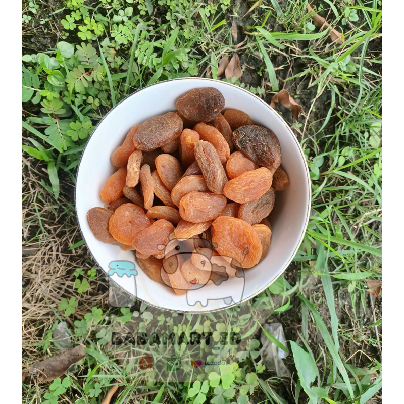 

DRIED APRICOT | APRICOT KERING | MANISAN APRICOT | CAMILAN SEHAT