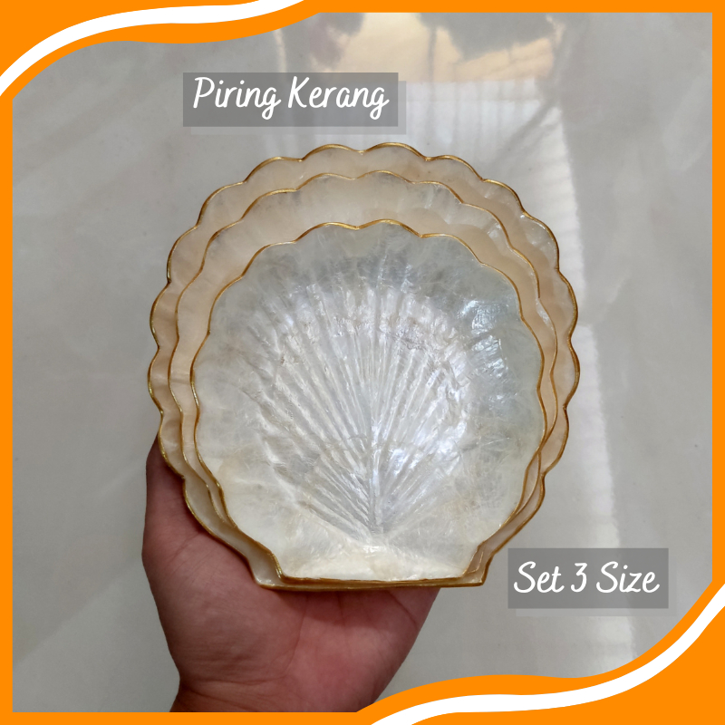Piring Kerang Set 3 Piring Wadah Saji Unik Shell Plate Piring Kerang Kipas
