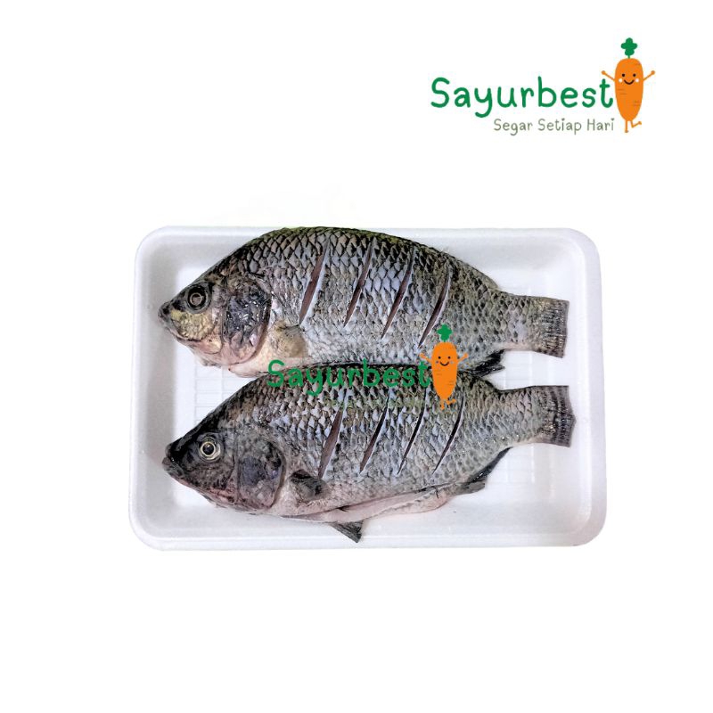 

(PO KIRIM BESOK) Ikan Mujair 500 gram